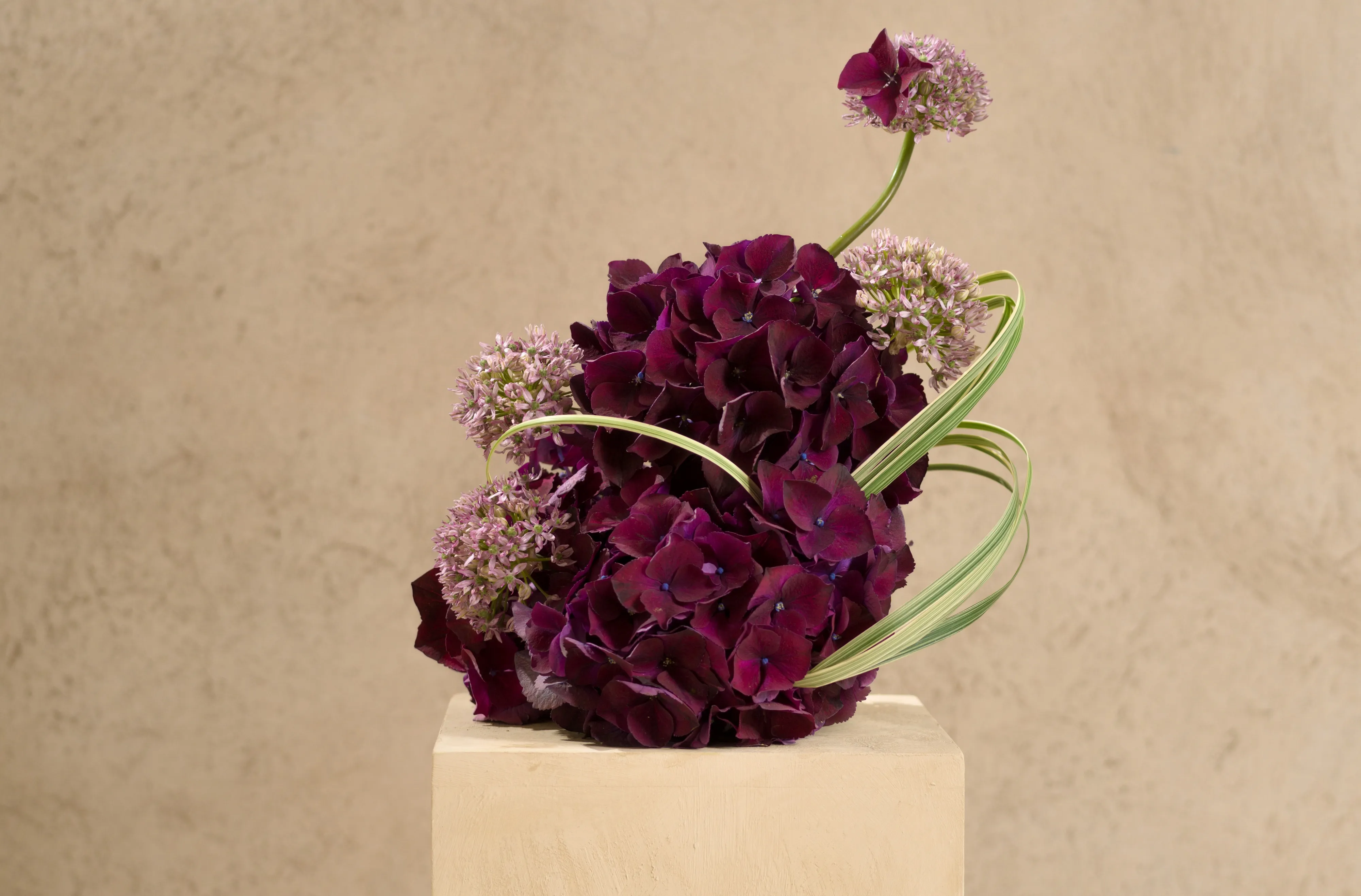 Lila hortensia med gräs på piedestal